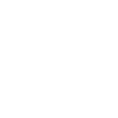 Brickdium